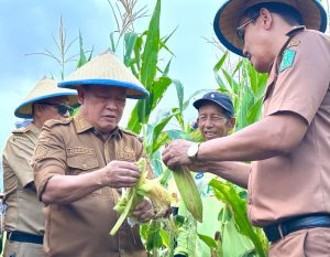 Kunjungi Desa Nario Indah, Pj Bupati Konawe: Disini Surganya Hortikultura