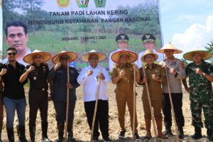 Sukseskan Program Ketahanan Pangan, Bupati dan Wakil Bupati Konawe Ikuti Penanaman Padi Lahan Kering