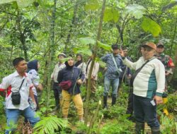 Misteri Banjir Anggalomoare, DLH Turun Tangan Verifikasi Peran Perkebunan Sawit PT HAM