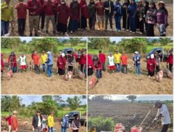 Pemdes Tirawuta Ikut Sukseskan Program Ketahanan Pangan Nasional