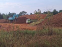 Ini Alasan Camat Amonggedo Jual Ore Nikel di Wilayah IUP PT MBS