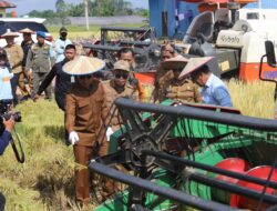 Bupati Dampingi Gubernur Sultra Saksikan Panen Perdana Pembiakan Benih Padi di Konawe