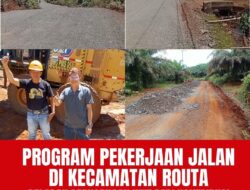 Smelter Dipersoalkan, Kades Lalomerui: Warga Sudah Rasakan Dampak Investasi