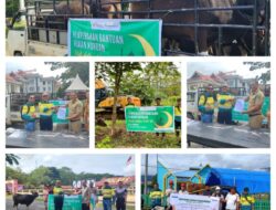 Jelang Idul Adha, PT SCM Salurkan Puluhan Ekor Hewan Kurban