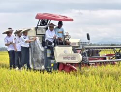 Wamendagri Puji Keberhasilan Konawe Dukung Ketahanan Pangan Nasional
