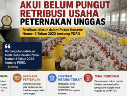 Disnakeswan Konawe Akui Belum Pungut Retribusi Usaha Peternakan Unggas